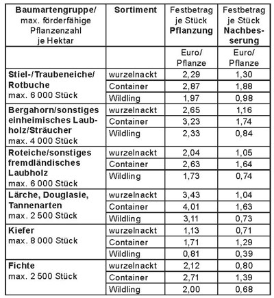 Tabelle 1 Festbeträge/Förderhöhe Erstaufforstung